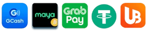 666jili website image 18 showing payment