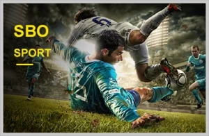 666jili sport sbo