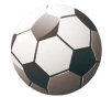 666jili sports logo